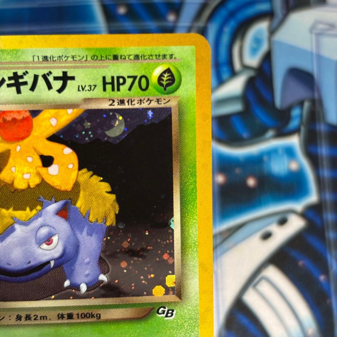 【美品-極美品】旧裏わるいフシギバナ LV.37GBプロモ No.003