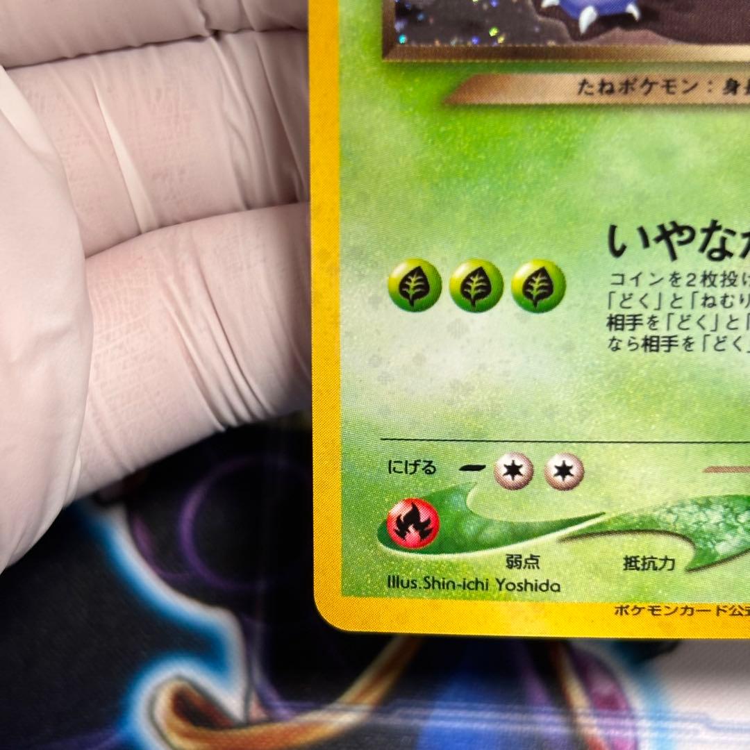 【美品-極美品】旧裏わるいフシギバナ LV.37GBプロモ No.003