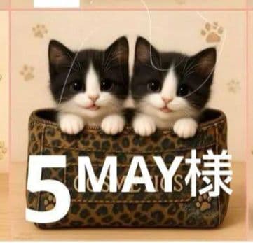 MAY ハンカチ シーズーちゃん柄