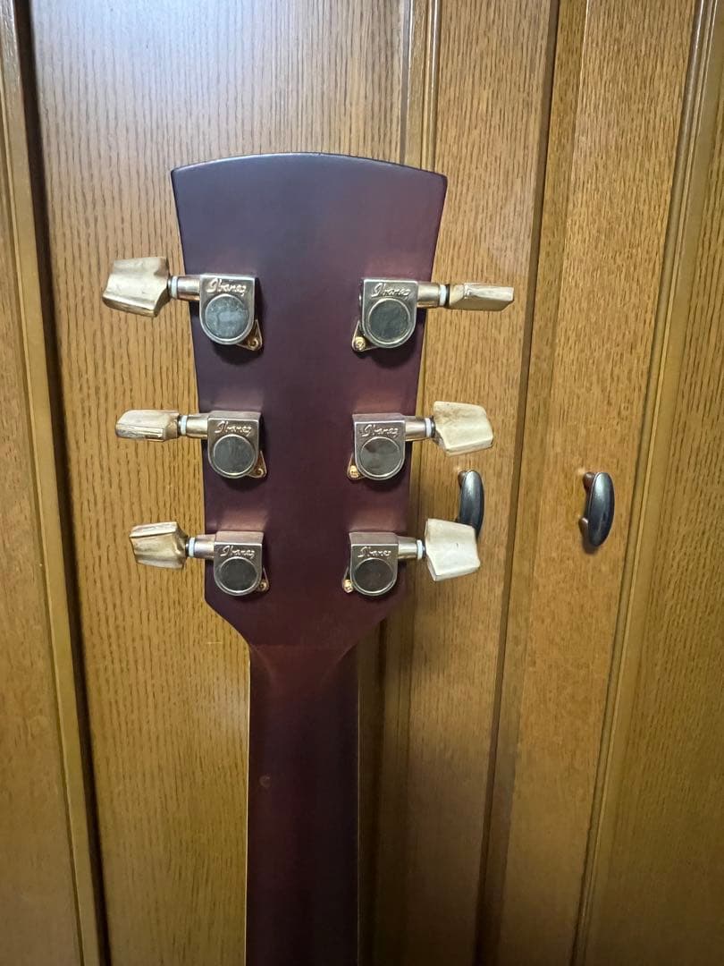 希少アイバニーズ AW50-BS Artwood Series ツリーオブライフ