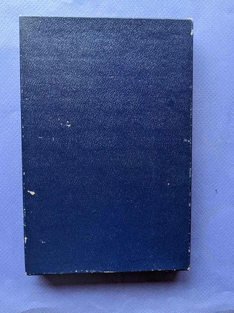 木製ダックパズル