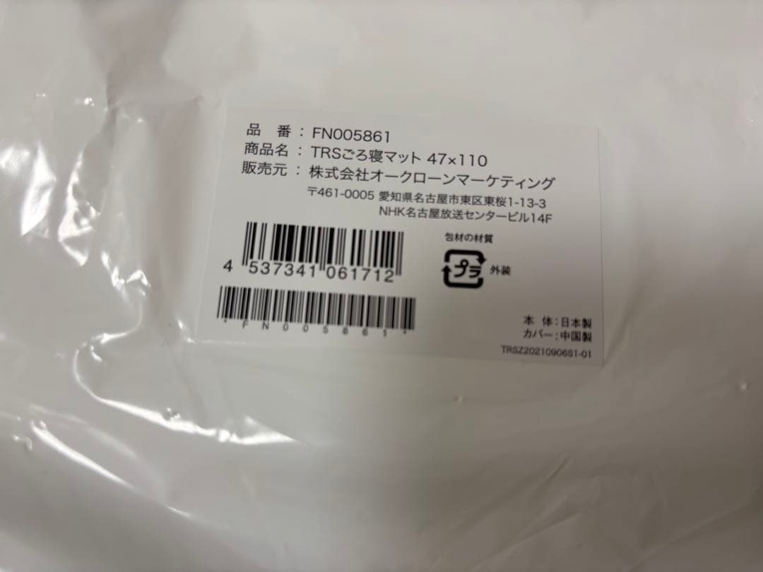 ミニトゥルースリーパー　ごろ寝マット 2枚