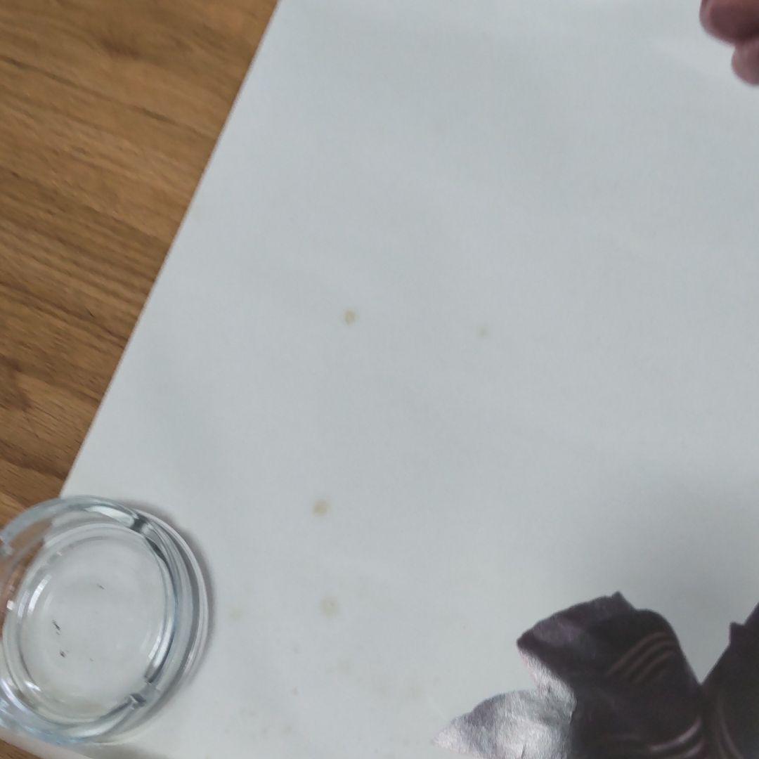 舘ひろしカルタス非売品特大ポスター