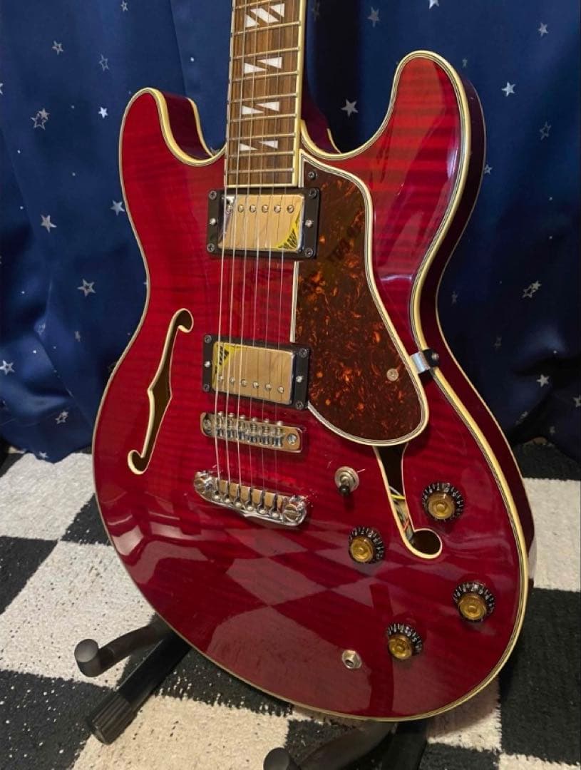 Aria Pro 2 TA-700 (Ritter Gig Bag付き)