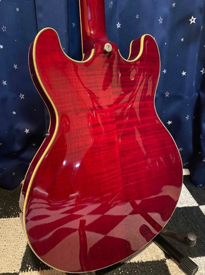 Aria Pro 2 TA-700 (Ritter Gig Bag付き)