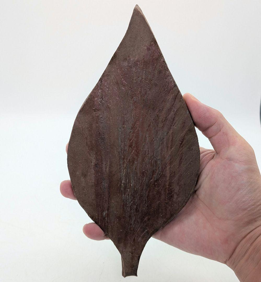 藤原陶臣 備前焼 葉皿5客 共箱 食器 菓子皿 菓子器 取り皿 銘々皿 緋襷