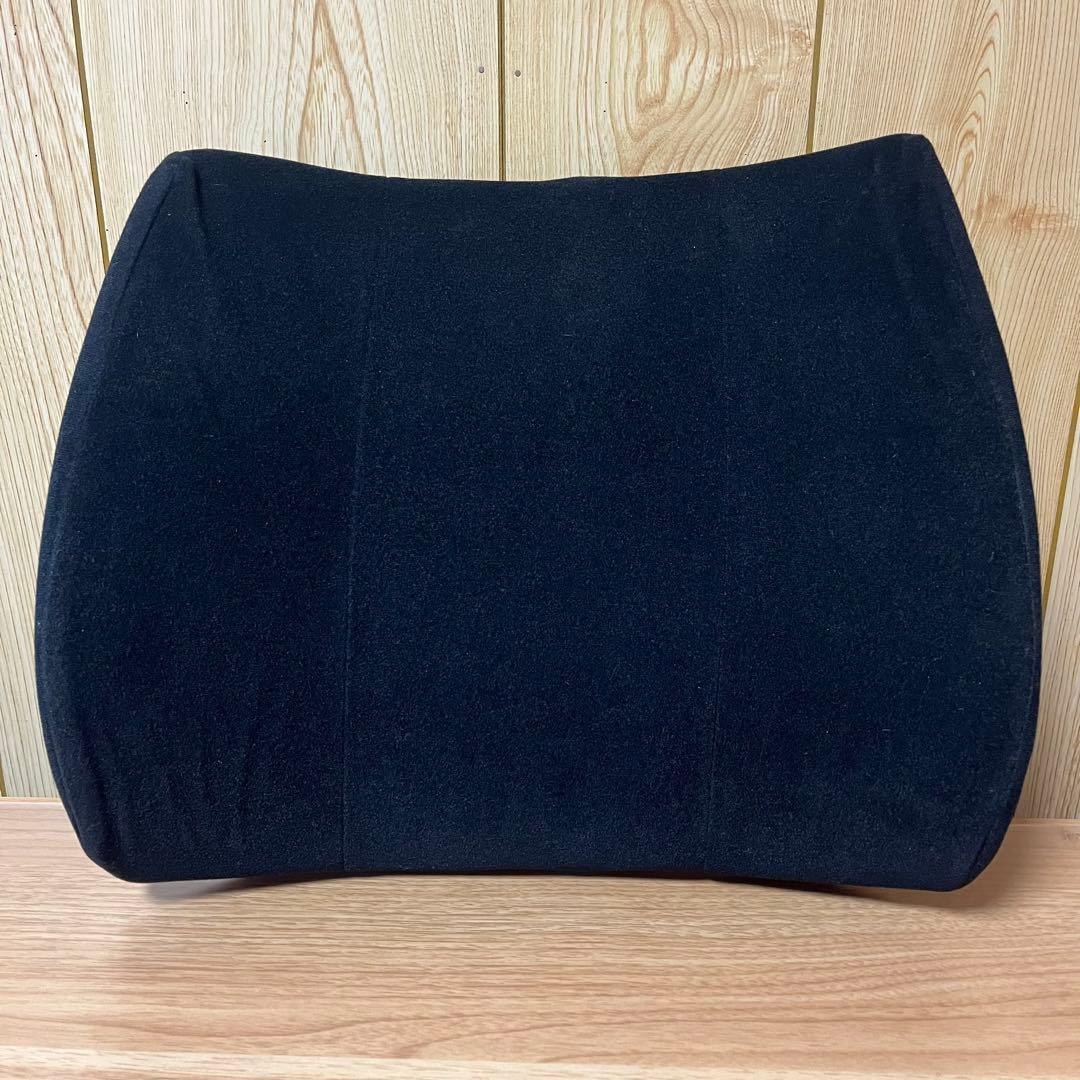 サテライト BODYLINE クッション バックハガー セット