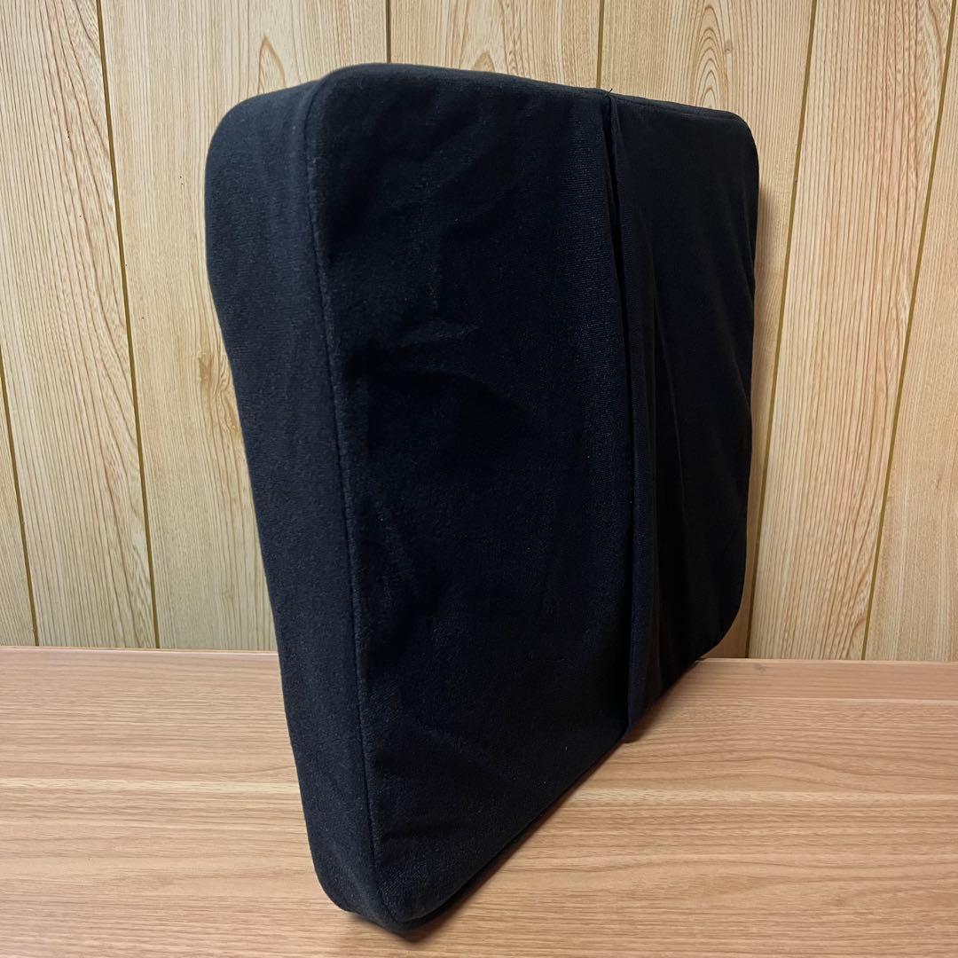 サテライト BODYLINE クッション バックハガー セット