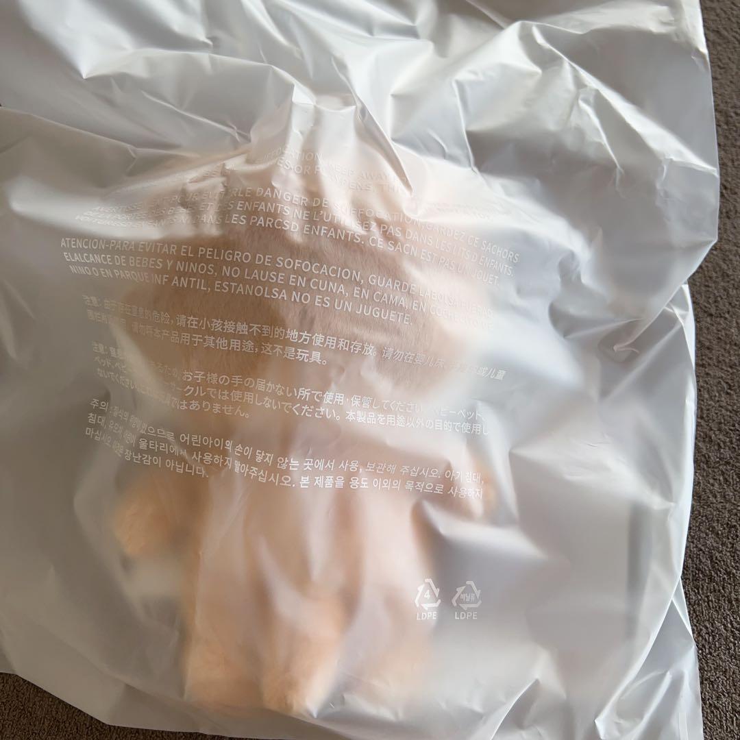 ミニティーン　ディノ　チャンダリ　ぬいぐるみSEVENTEEN プラッシュトイ