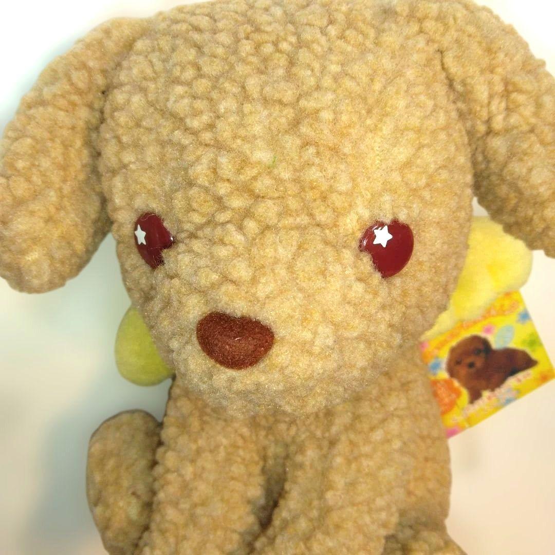 わんわん わんこ わんこ天使　くったりぬいぐるみ 　トイプードル　サンエックス