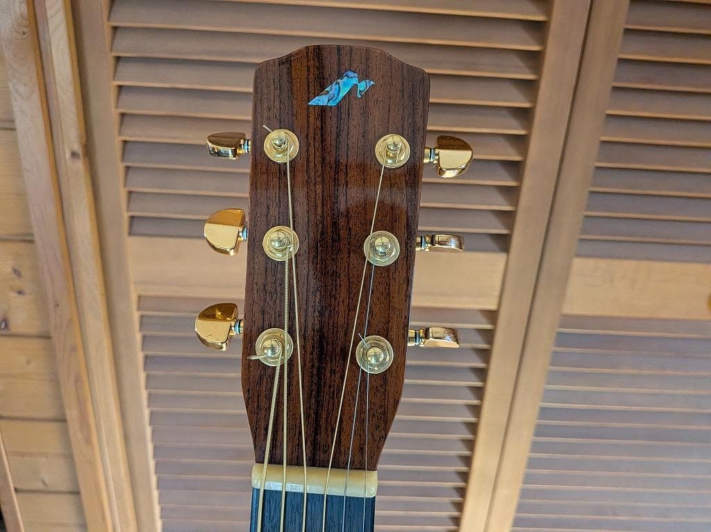 ギター Epiphone Masterbilt Frontier FT-110