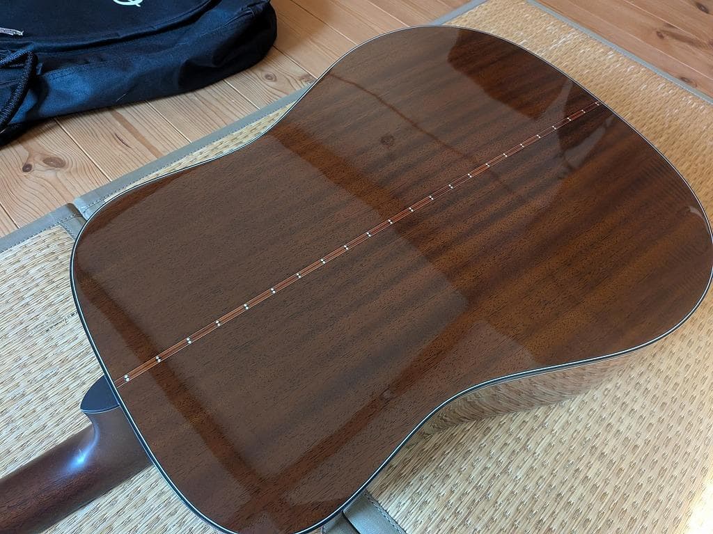 ギター Epiphone Masterbilt Frontier FT-110