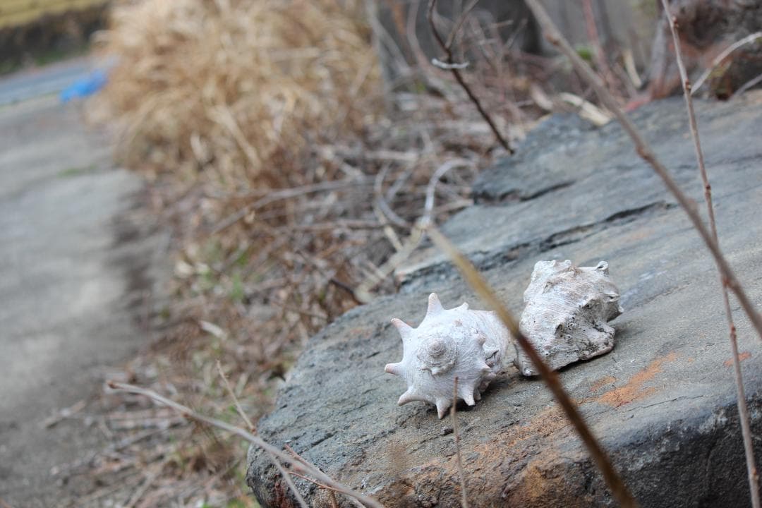 ★超美品★　Canon EOS kis X5　ダブルズームレンズ　予備バッテリー