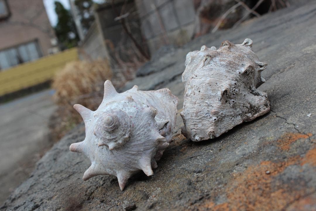 ★超美品★　Canon EOS kis X5　ダブルズームレンズ　予備バッテリー