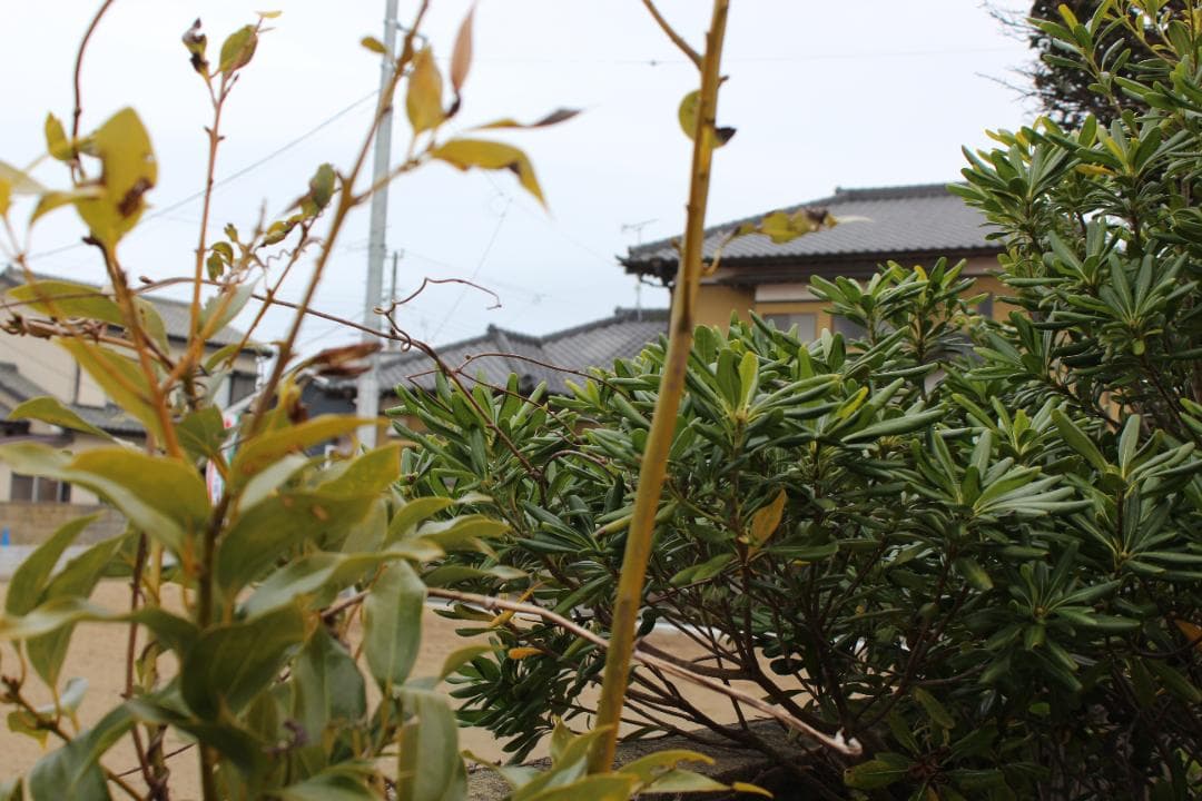 ★超美品★　Canon EOS kis X5　ダブルズームレンズ　予備バッテリー