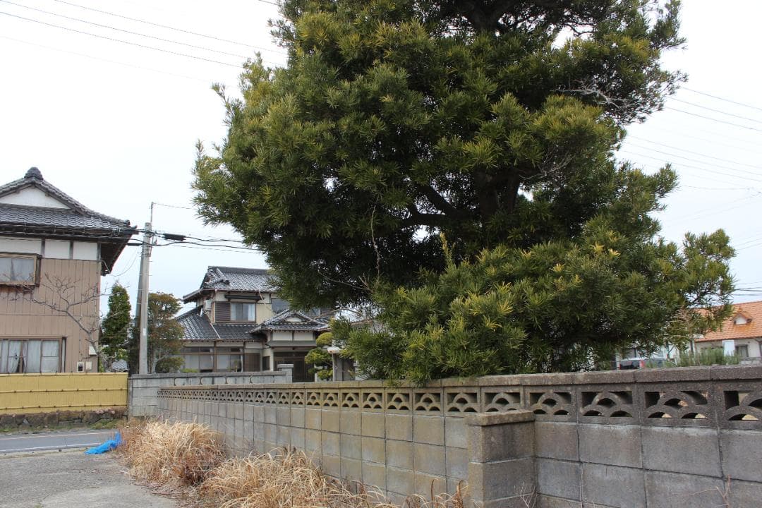 ★超美品★　Canon EOS kis X5　ダブルズームレンズ　予備バッテリー