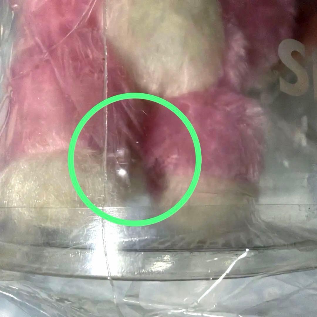 加藤シゲアキ 中の人　ぬいぐるみストラップ　NEWSクリップ　セット