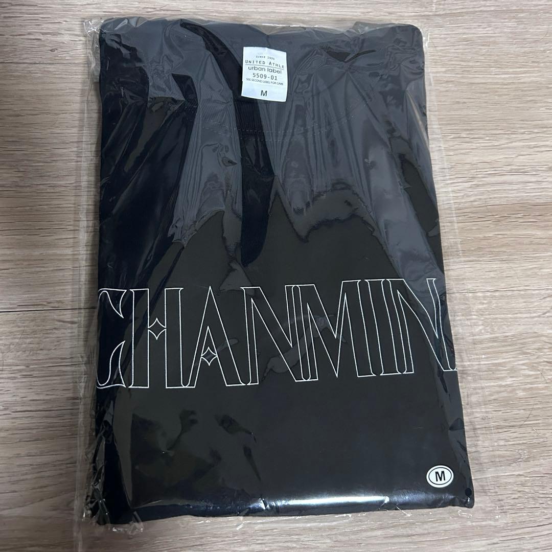 ちゃんみな ロング スリーブ Tシャツ AREA OF DIAMOND 4