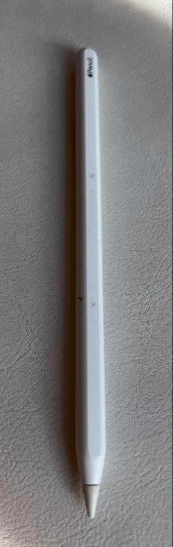 iPad pro 11インチ　第2世代　Apple Pencil 第2世代