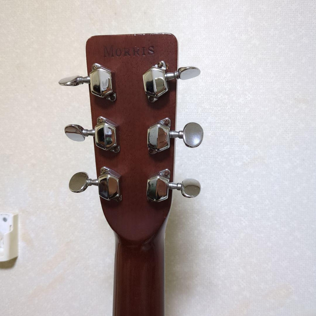 Morris アコースティックギター ドレッドノート
