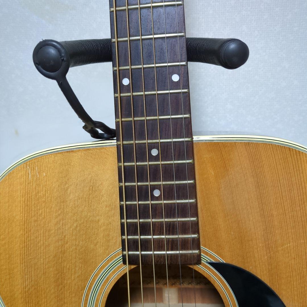 Morris アコースティックギター ドレッドノート