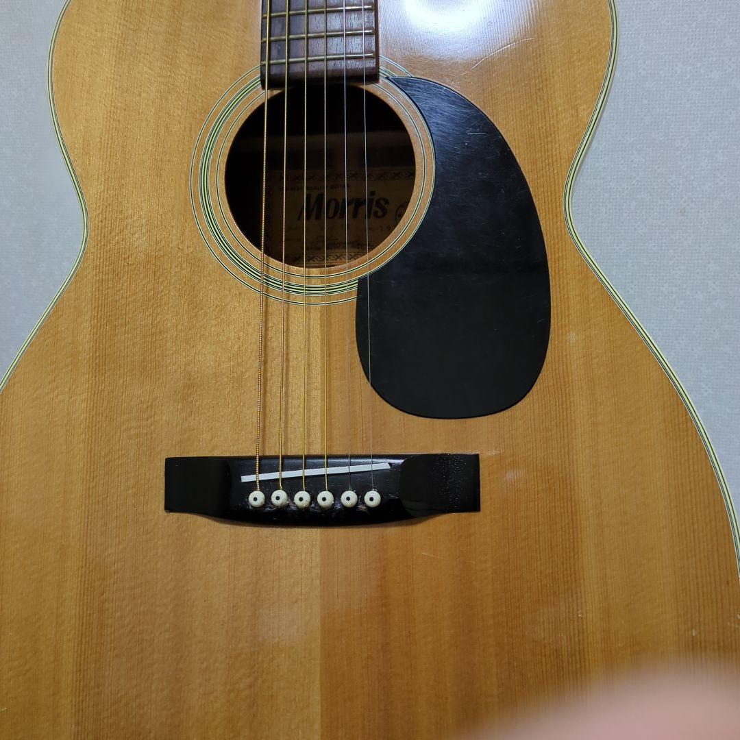 Morris アコースティックギター ドレッドノート