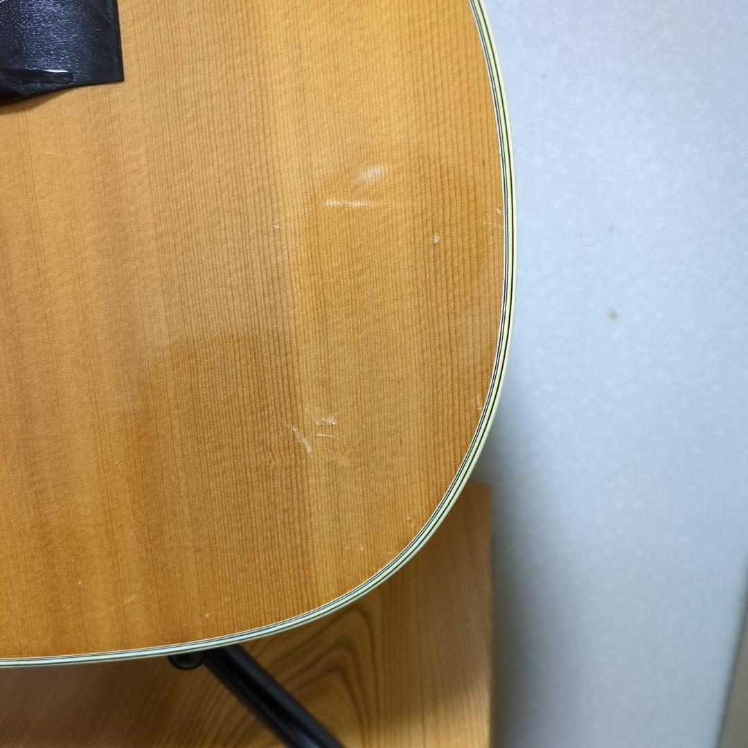 Morris アコースティックギター ドレッドノート