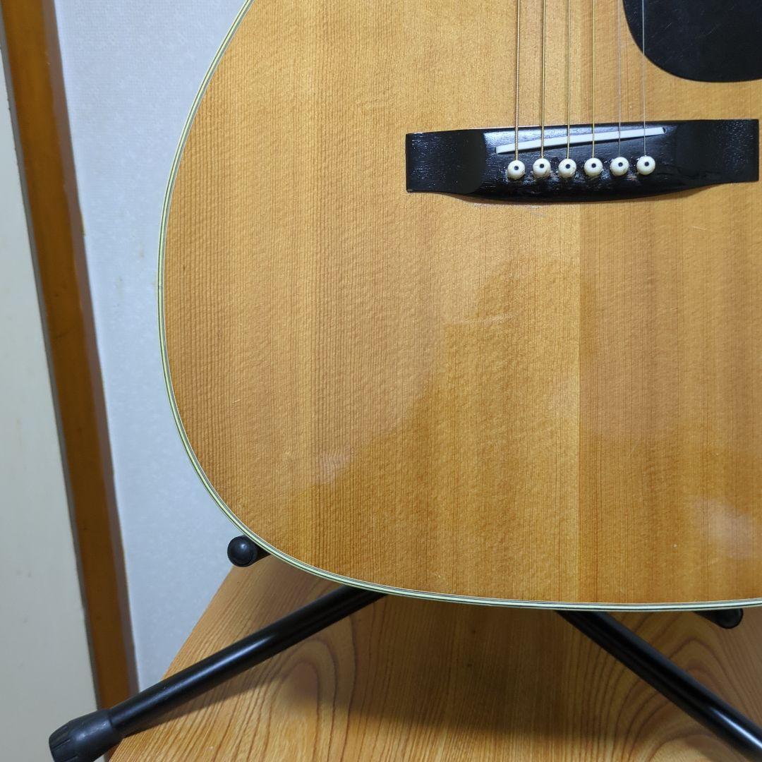 Morris アコースティックギター ドレッドノート