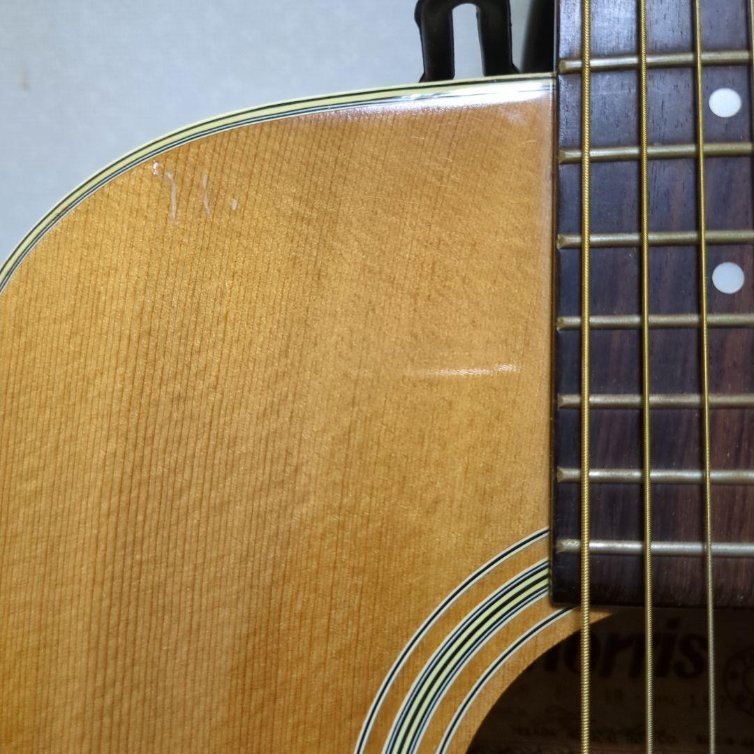 Morris アコースティックギター ドレッドノート
