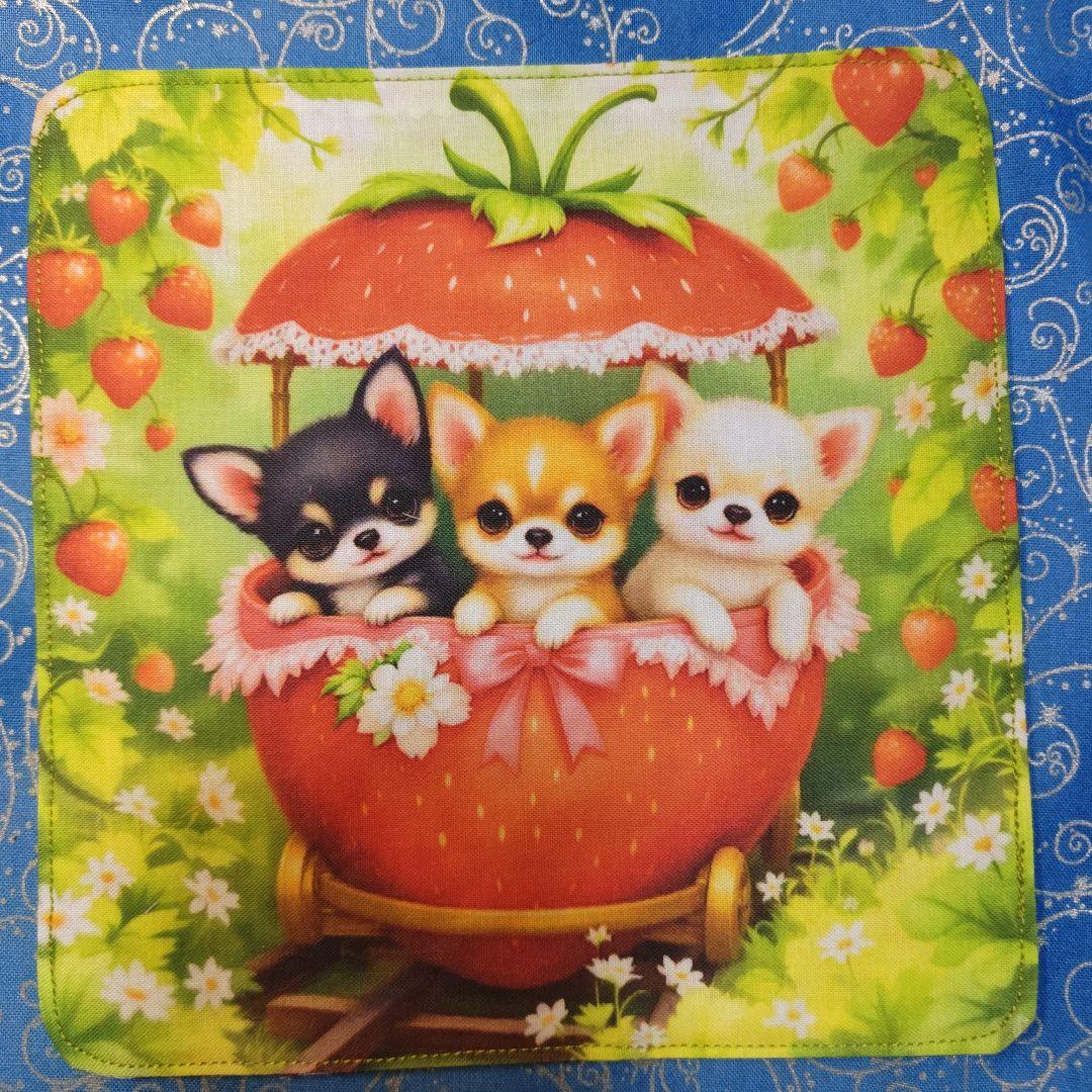 あしべ☆　ハンカチ　チワワ柄　18枚