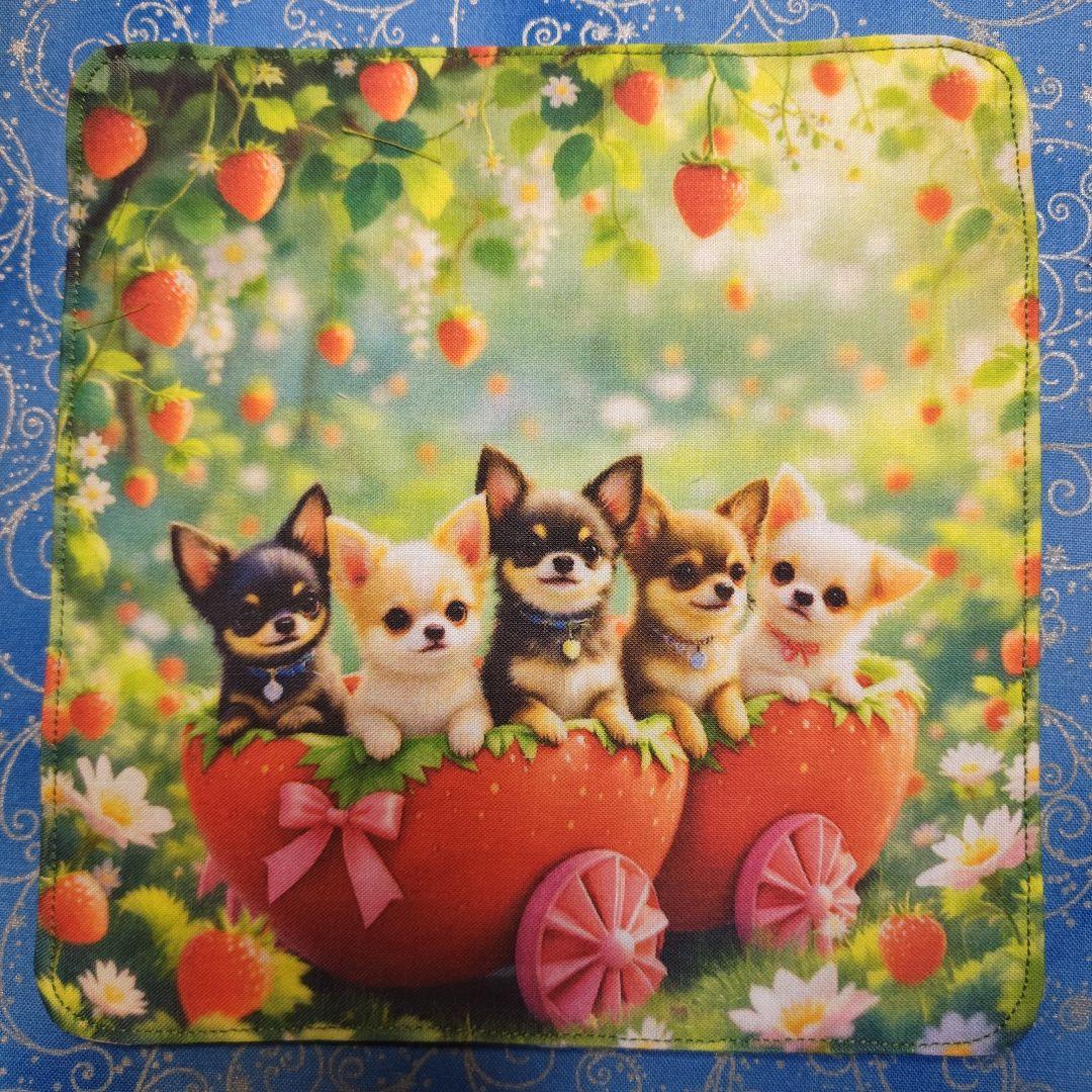 あしべ☆　ハンカチ　チワワ柄　18枚