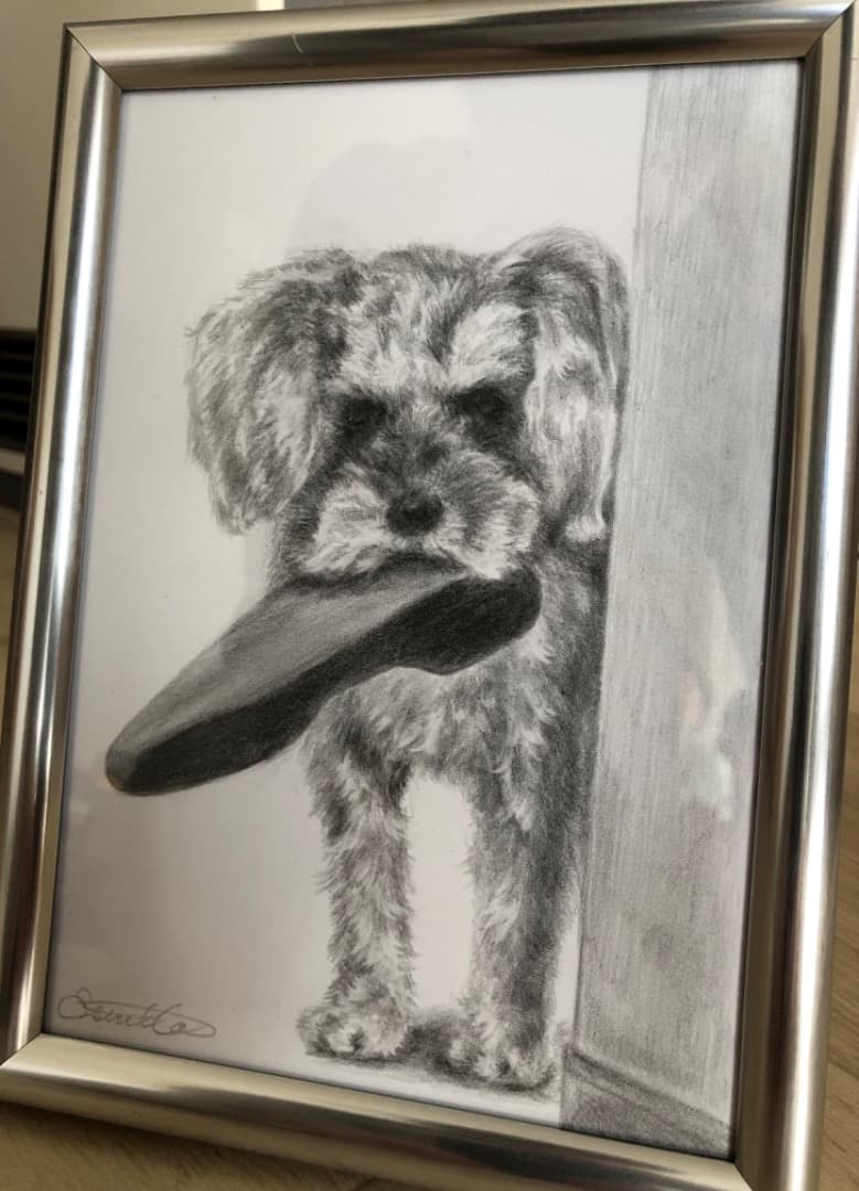 専用【原画】 犬の絵　シュナウザー、鉛筆画