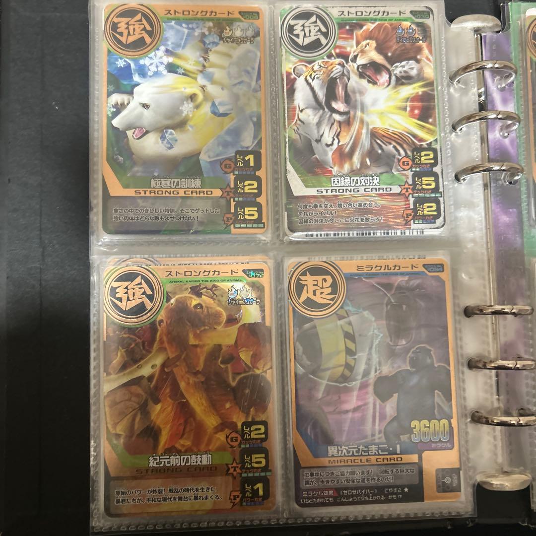 アニマルカイザー ラタトスク様確認用