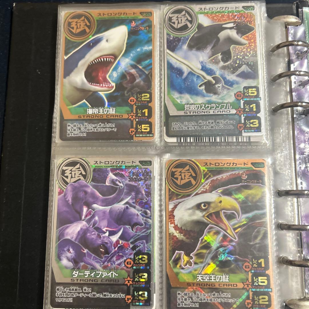 アニマルカイザー ラタトスク様確認用