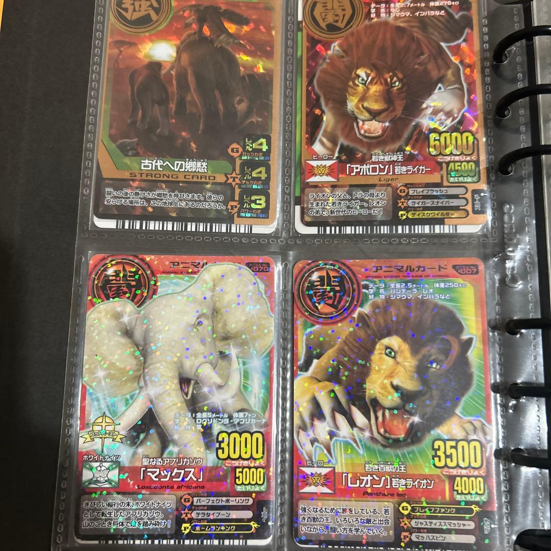 アニマルカイザー ラタトスク様確認用