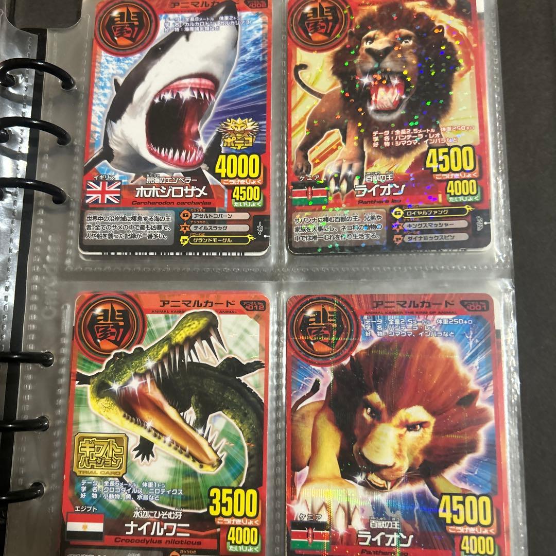 アニマルカイザー ラタトスク様確認用