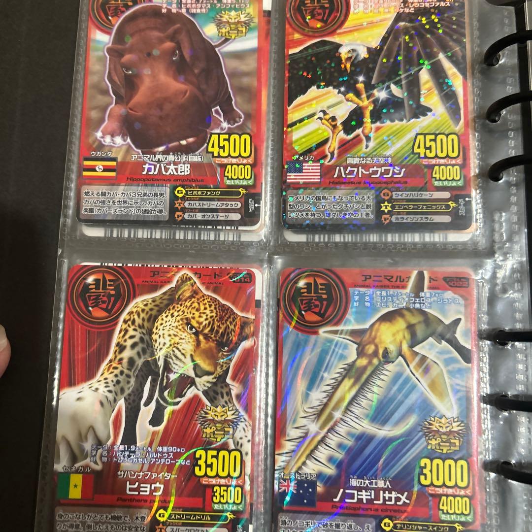 アニマルカイザー ラタトスク様確認用