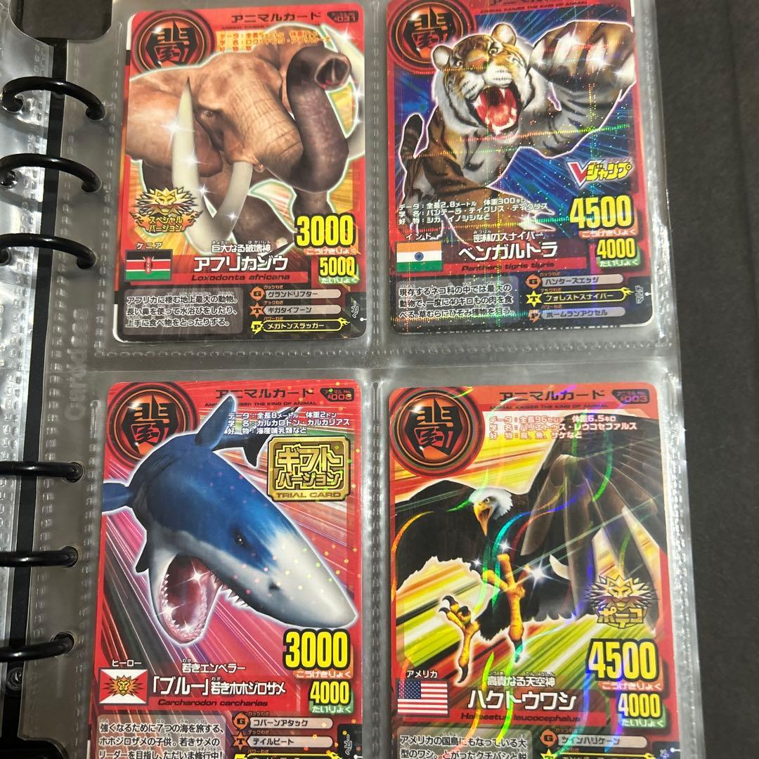 アニマルカイザー ラタトスク様確認用