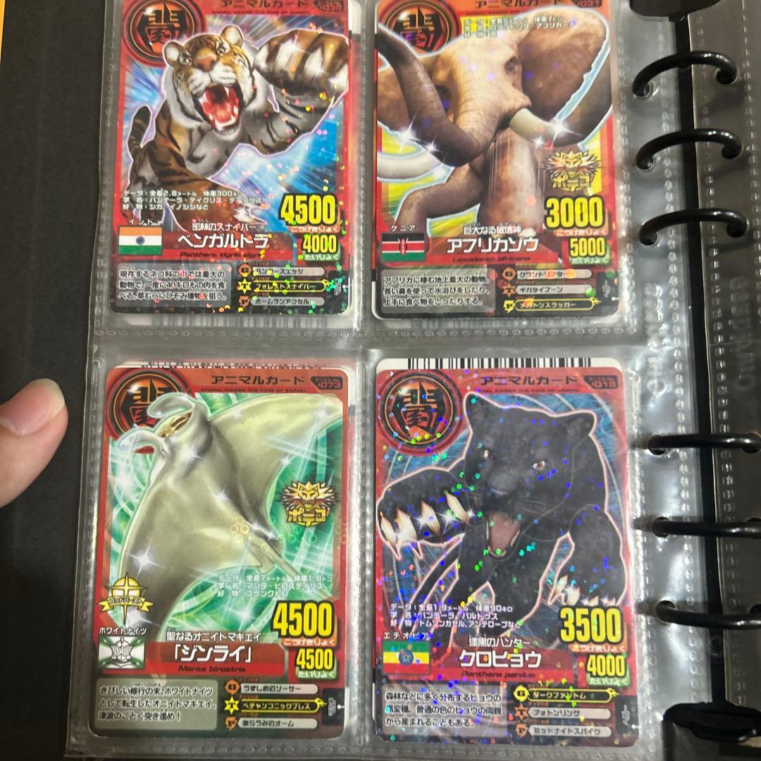 アニマルカイザー ラタトスク様確認用