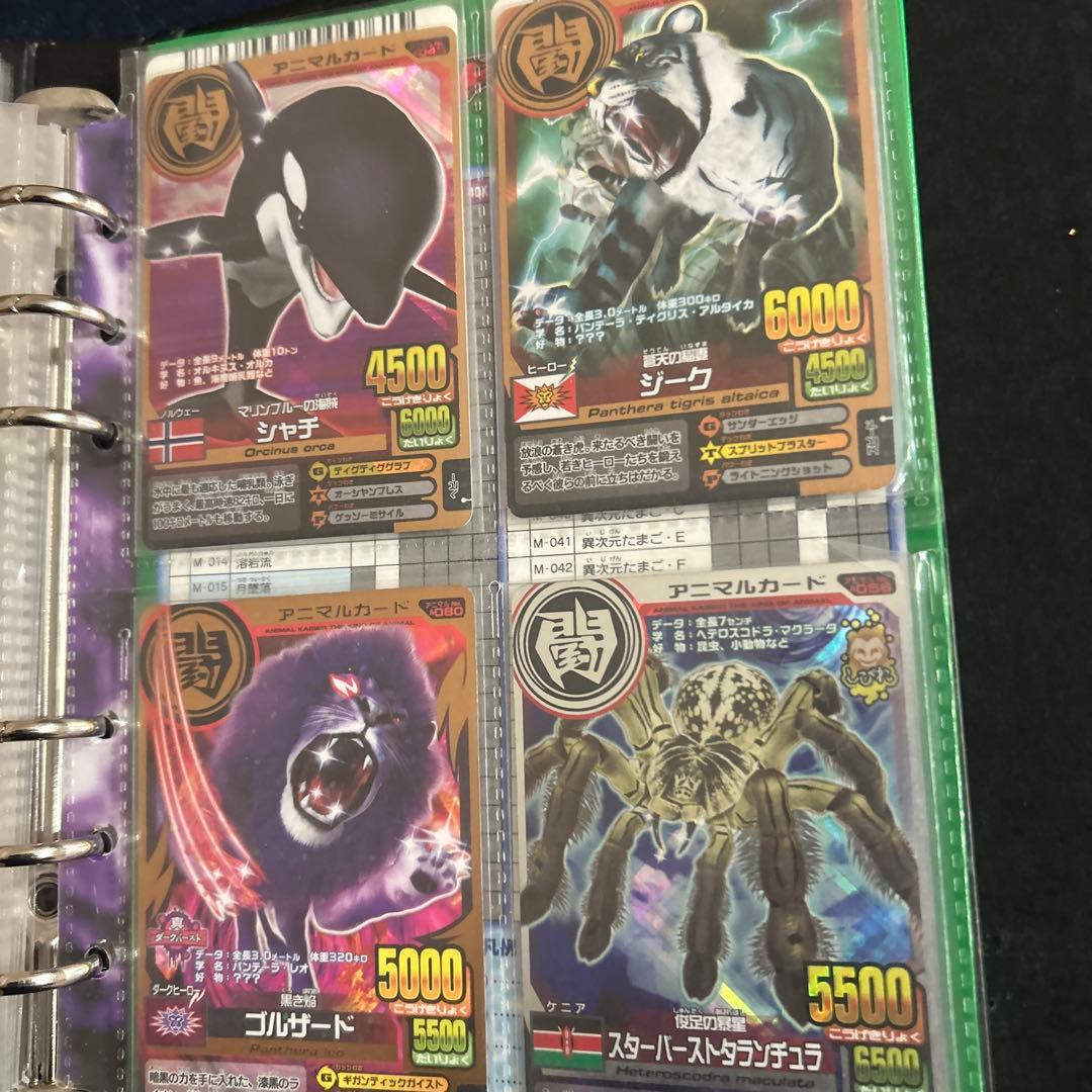 アニマルカイザー ラタトスク様確認用