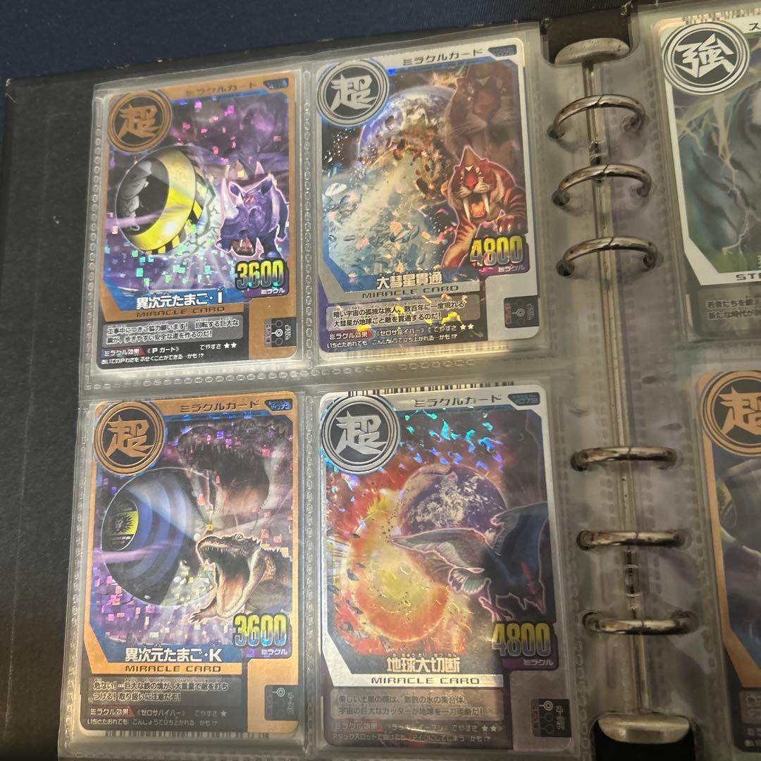 アニマルカイザー ラタトスク様確認用