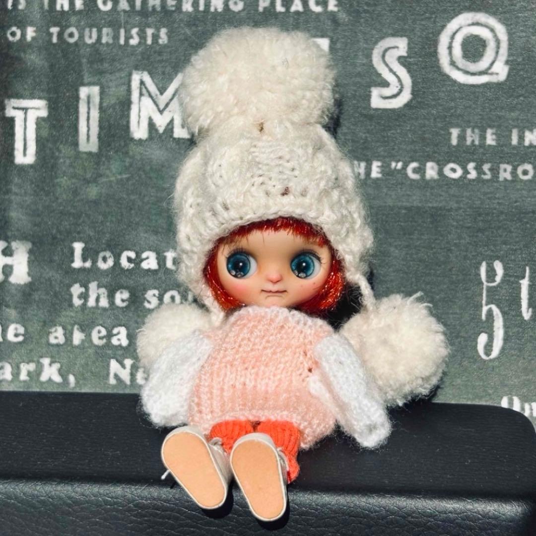 プチブライスカスタム おさかな☆ドール