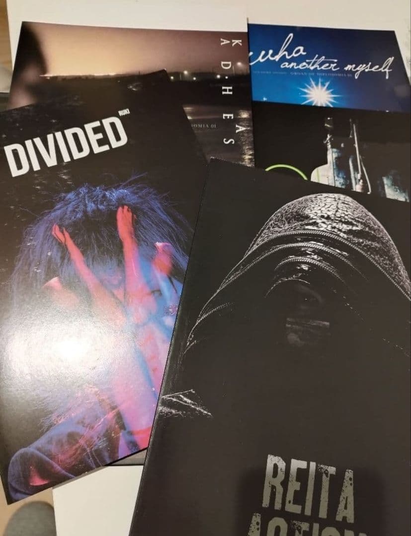 the GazettE ガゼット 写真集 パンフレット
