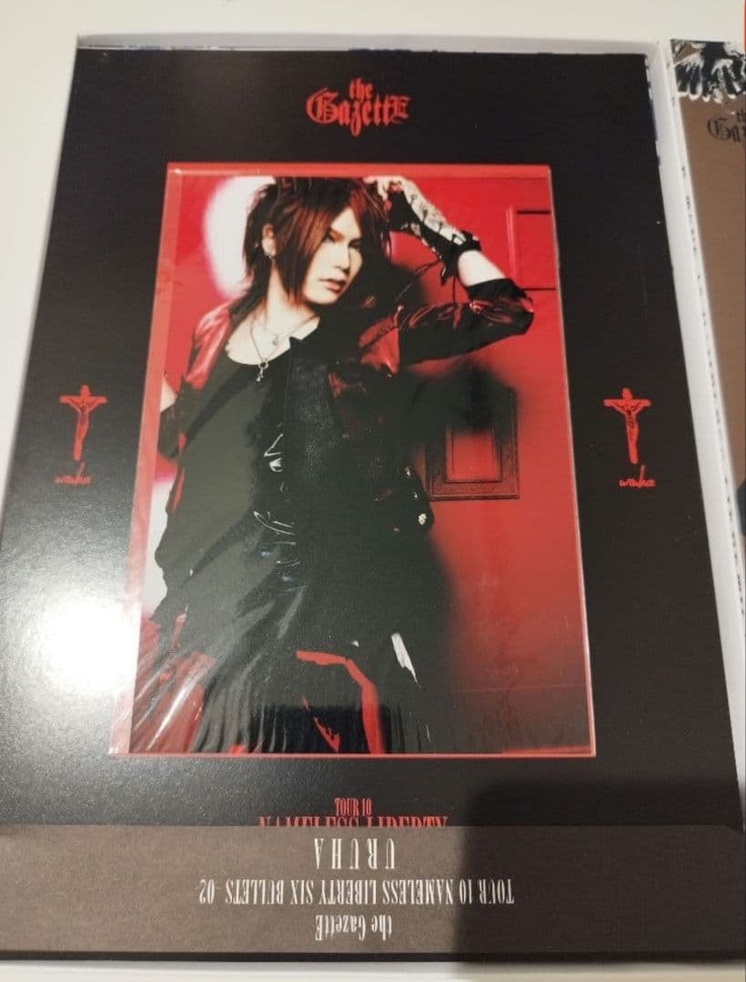 the GazettE ガゼット 写真集 パンフレット