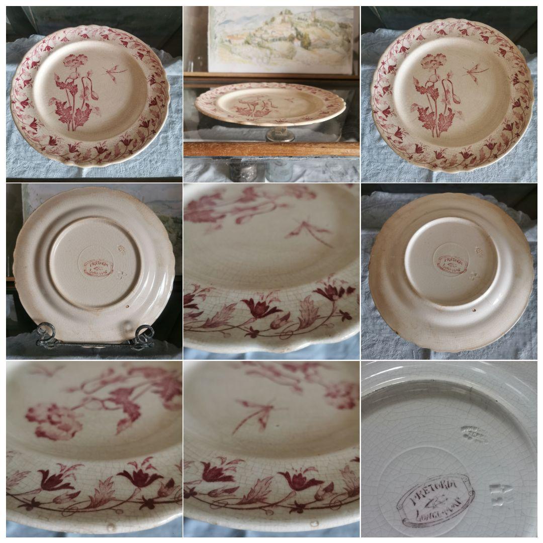 19世紀アンティークフランス 美しい琥珀色貫入 花リム大皿 ポピーと蜻蛉/蜉蝣