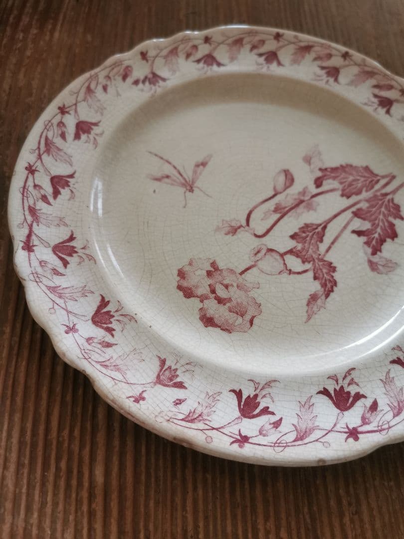 19世紀アンティークフランス 美しい琥珀色貫入 花リム大皿 ポピーと蜻蛉/蜉蝣