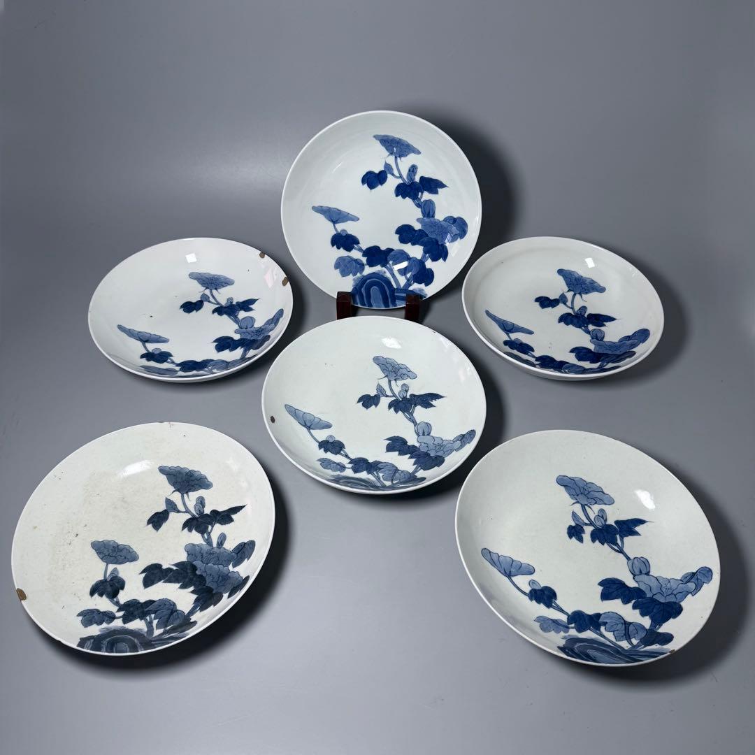 後期鍋島　染付芙蓉文中皿　六客　江戸後期〜明治初期　同手図録掲載品　20.7cm