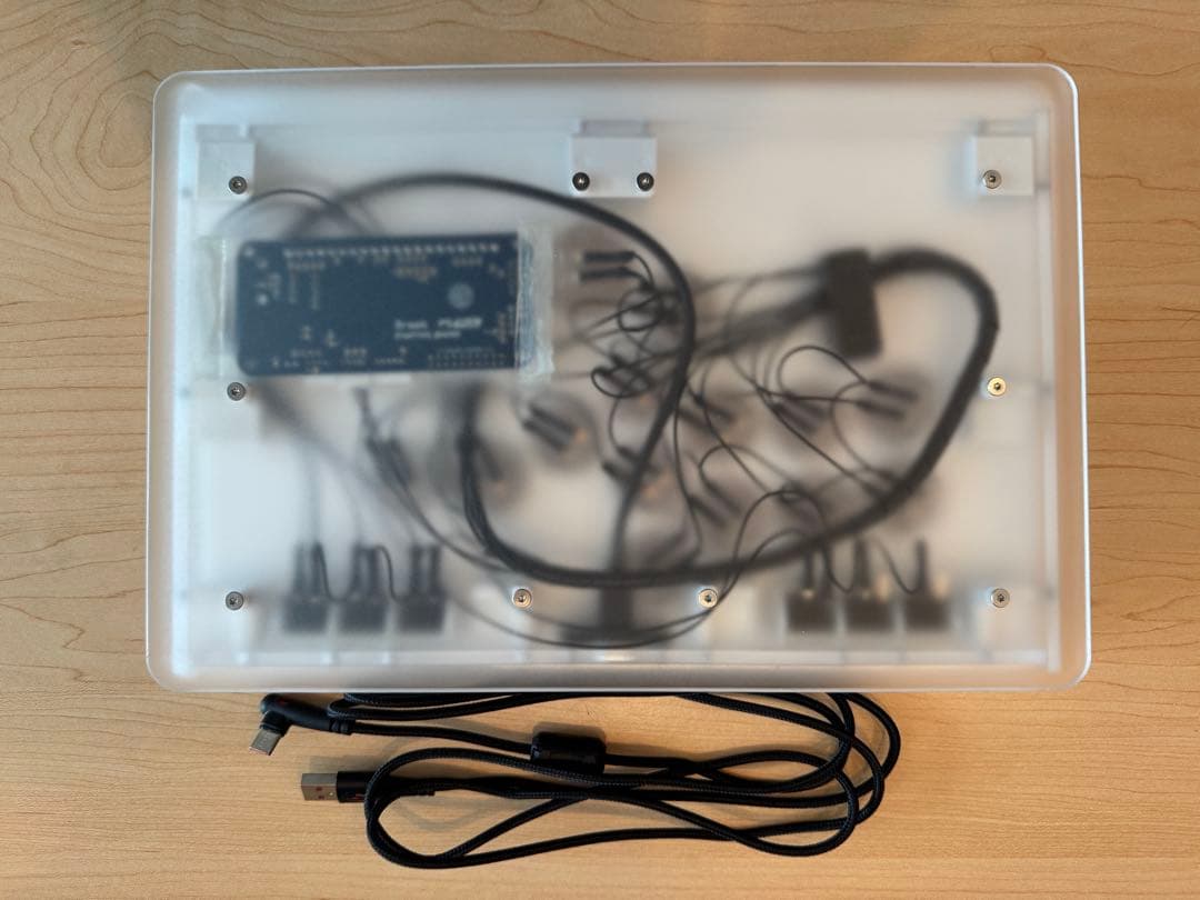 田*夫様 punkworkshop evo2024レバーレスbrook