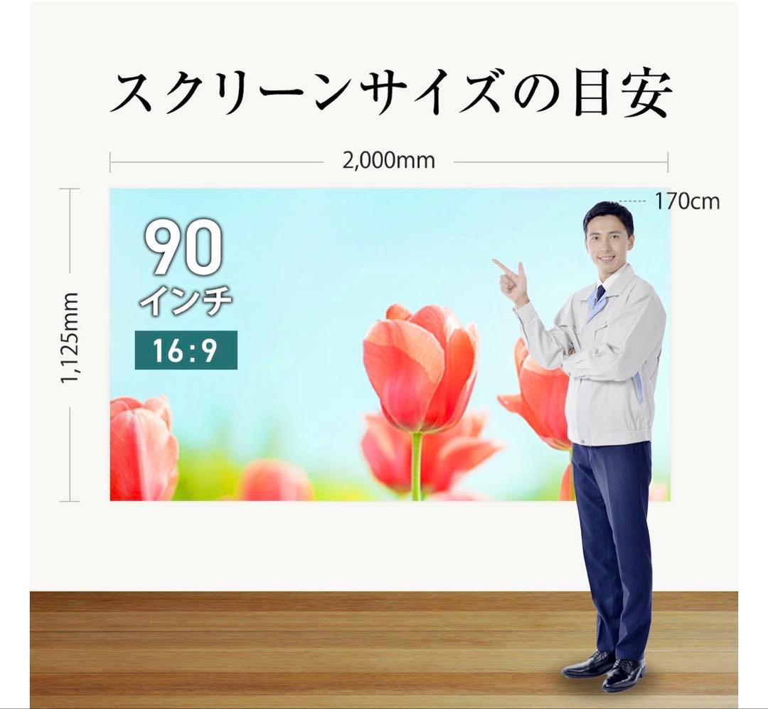 ✨シアターハウス 掛け軸スクリーン 90インチ BTP1992WEM