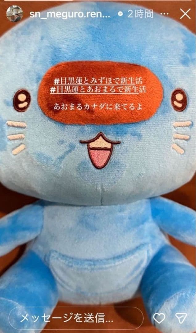 お値下げ中‼️／あおまる♥️ぬいぐるみ♥目黒蓮